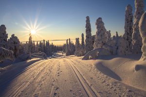 Snow winter wonderland