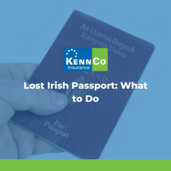 Lost Irish Passport